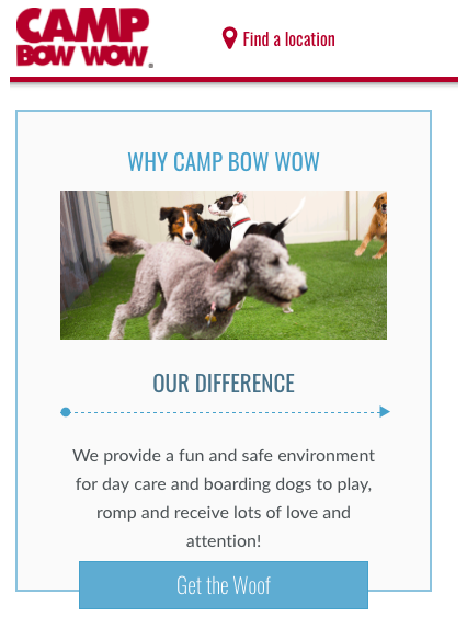 camp bow wow mission statement example